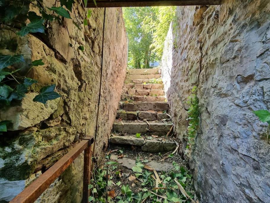 Elegance Provinoise Aux Pieds Des Remparts Classe Provins Kültér fotó